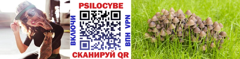 Псилоцибиновые грибы Magic Shrooms  MEGA маркетплейс  Себеж  где продают  
